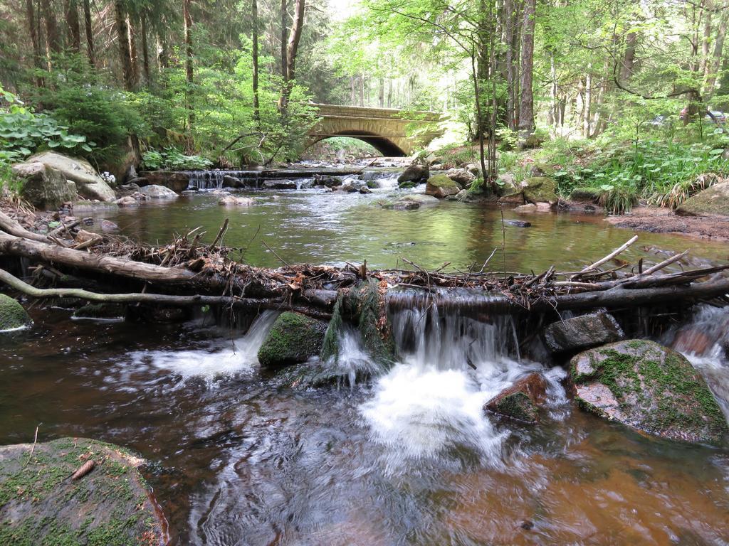 Fewo Kruse Am Wurmberg Braunlage Kültér fotó
